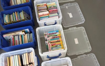 Bücherbox